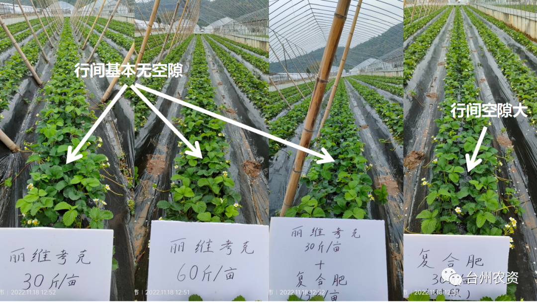 1675647292276952.png 640 (17).png